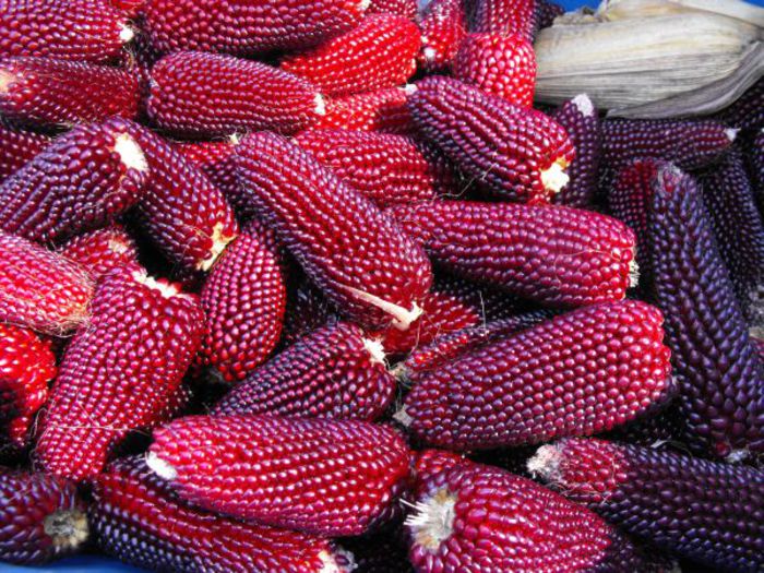 pop-corn - PORUMB FLORICELE STRAWBERRY