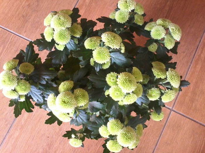 20141003_124100