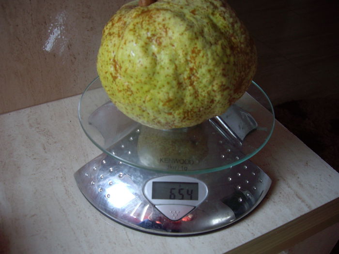 a 2 para cazuta din pomul dwaf