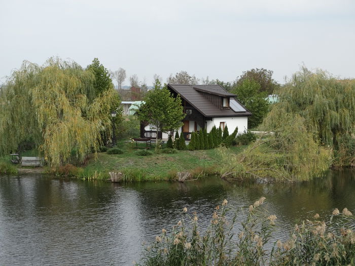 DSC02284 - Parcul natural Comana
