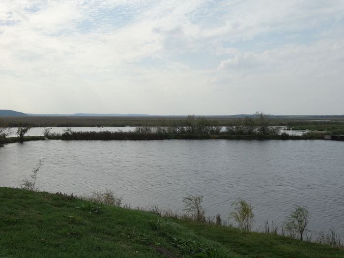 DSC02286 - Parcul natural Comana