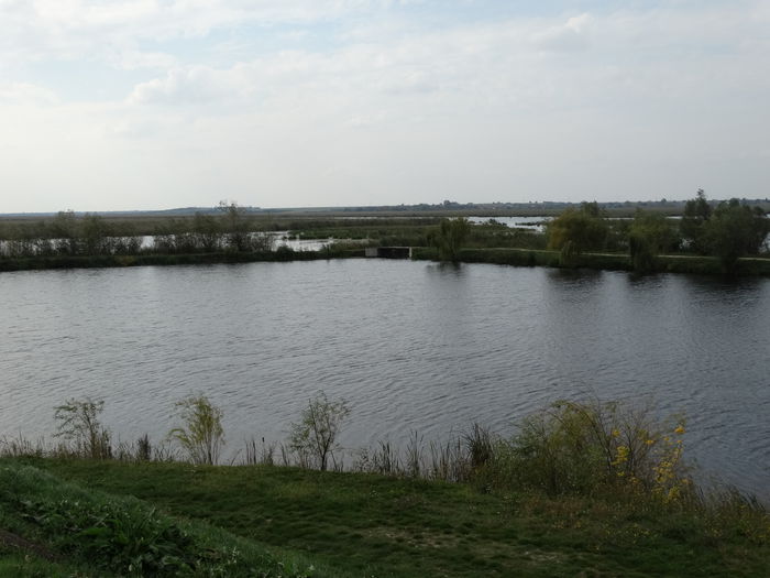 DSC02287 - Parcul natural Comana