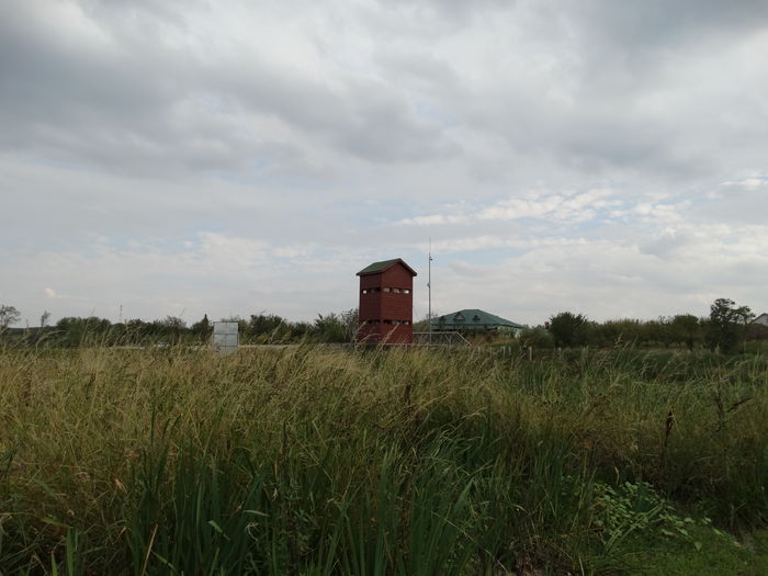 DSC02298 - Parcul natural Comana