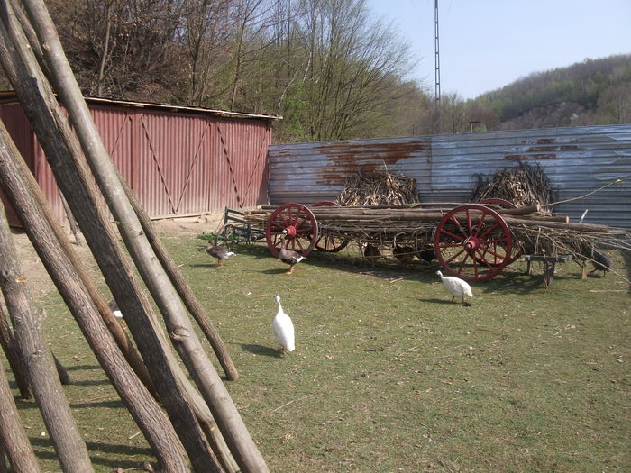 2014 078 - toamna 2014