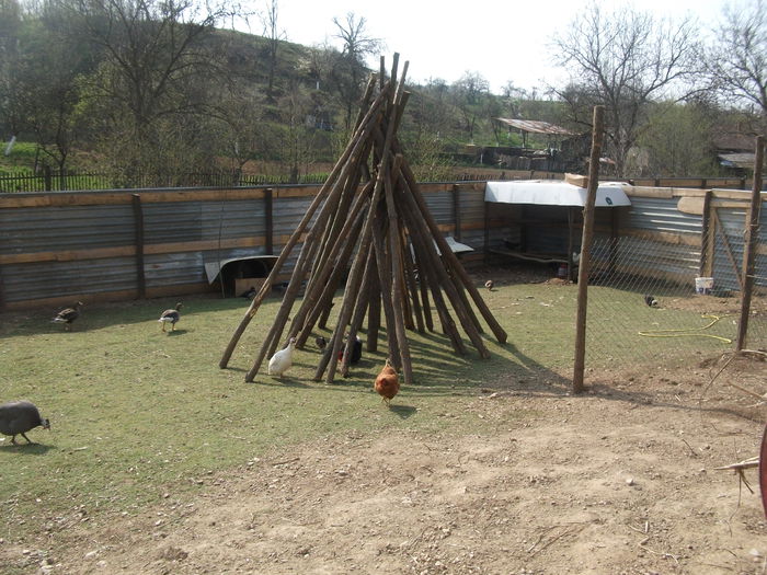 2014 083 - toamna 2014