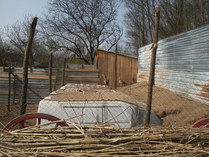 2014 084 - toamna 2014