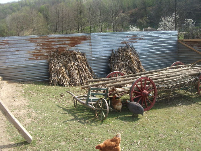 2014 087 - toamna 2014