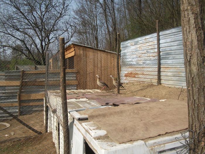 2014 088 - toamna 2014