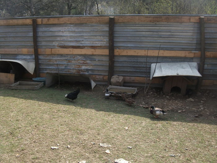 2014 094 - toamna 2014