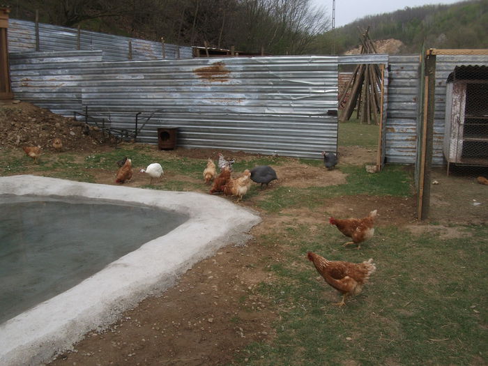 2014 100 - toamna 2014