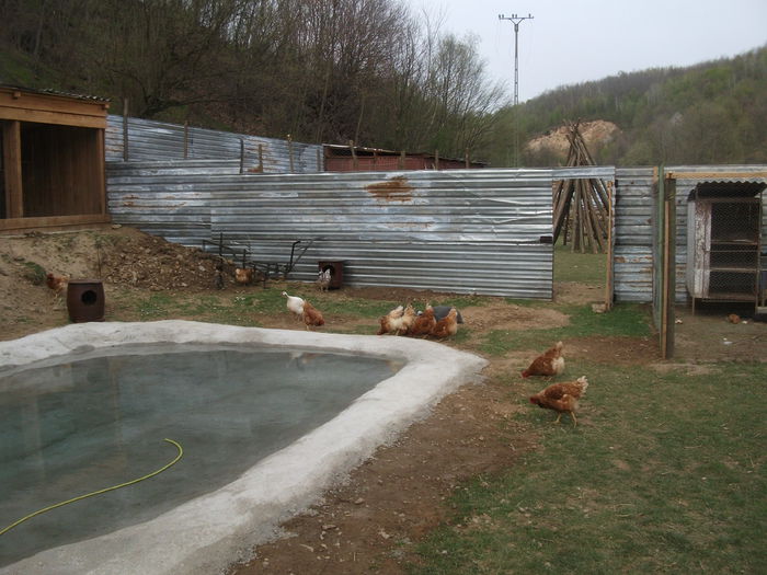 2014 101 - toamna 2014