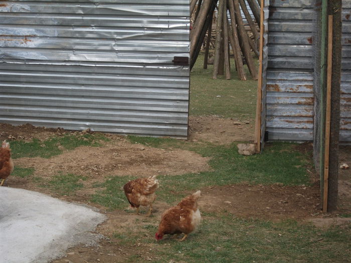 2014 102 - toamna 2014