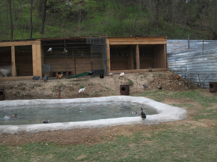 2014 115 - toamna 2014