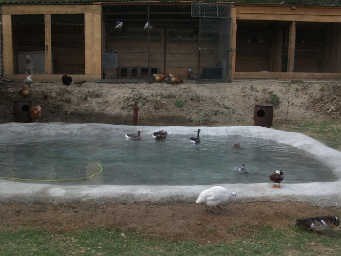 2014 127 - toamna 2014