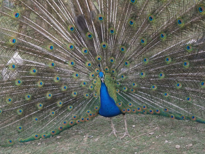 2014 134 - toamna 2014