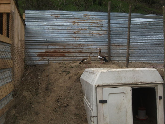 2014 140 - toamna 2014