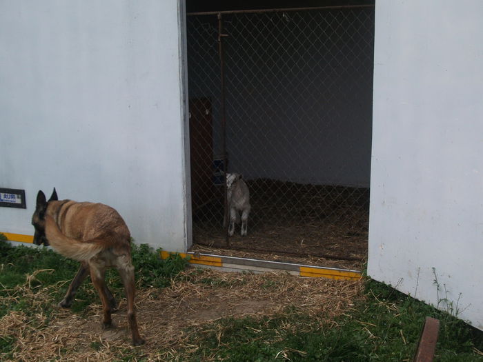 2014 142 - toamna 2014