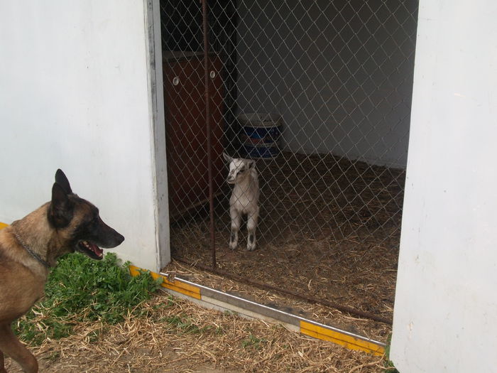 2014 143 - toamna 2014