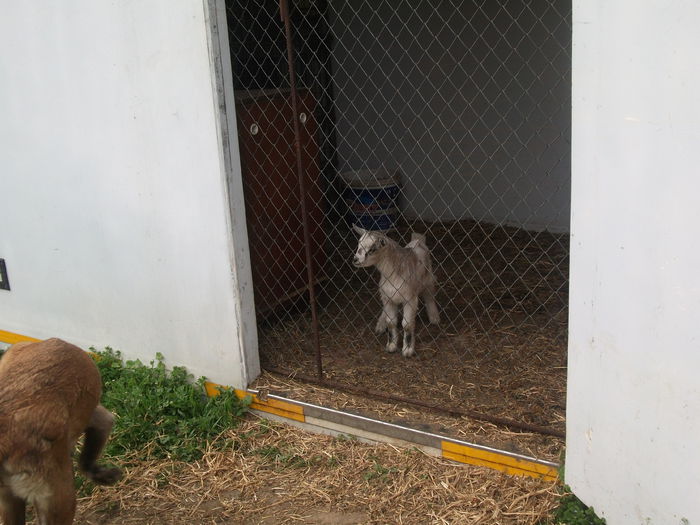 2014 144 - toamna 2014