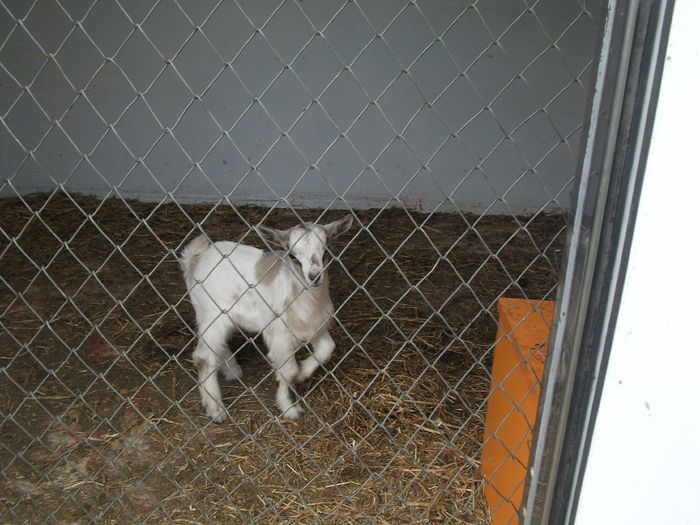 2014 145 - toamna 2014