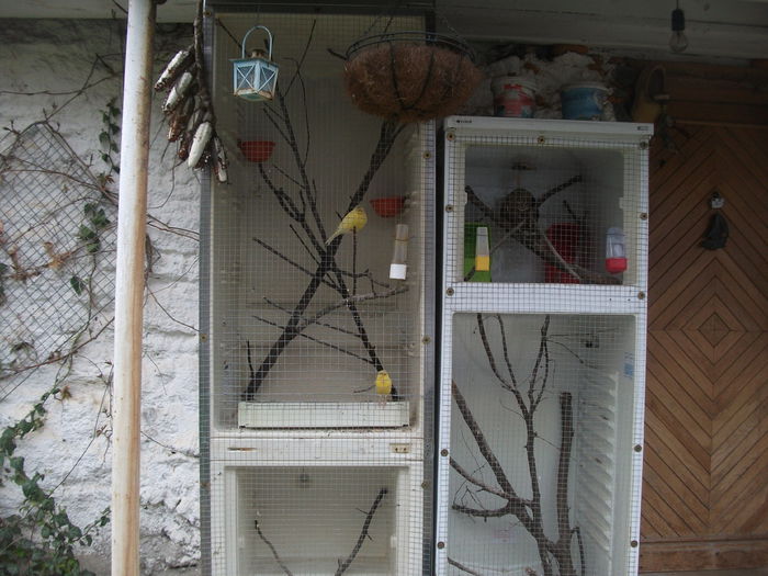 2014 150 - toamna 2014