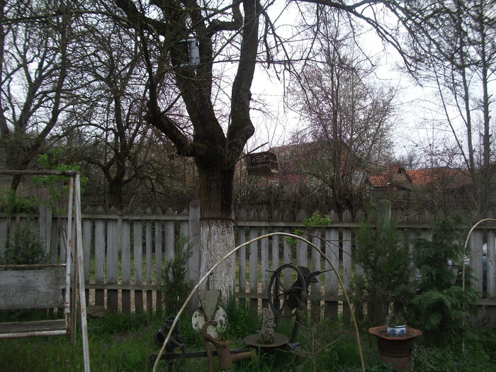 2014 151 - toamna 2014