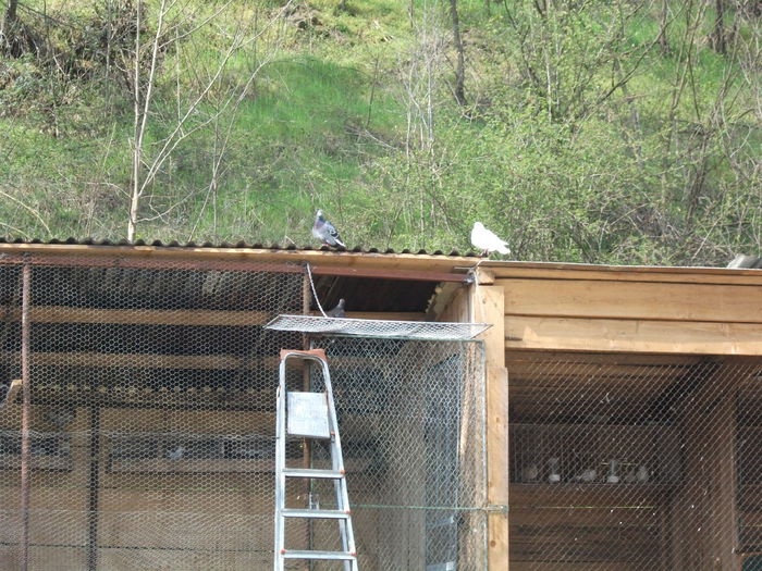 2014 163 - toamna 2014