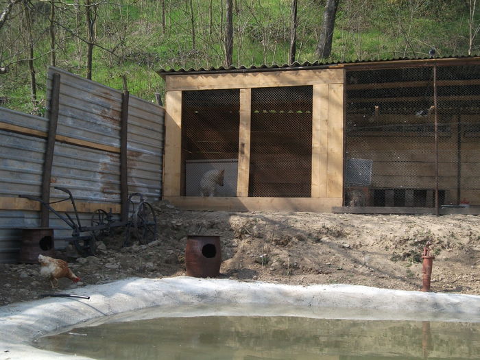 2014 164 - toamna 2014