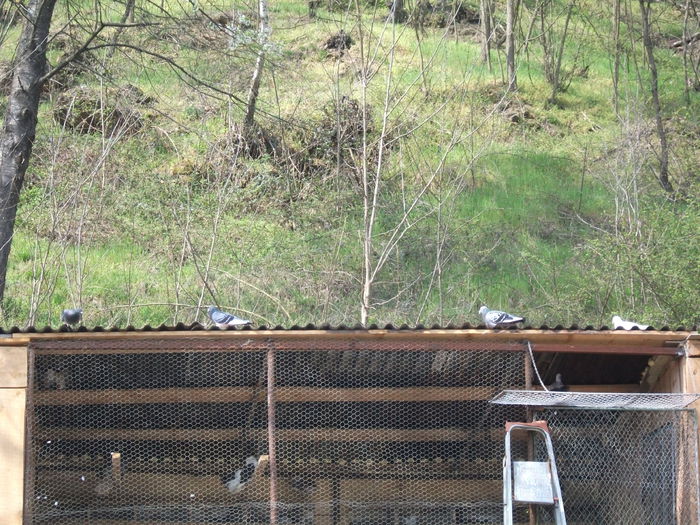 2014 166 - toamna 2014