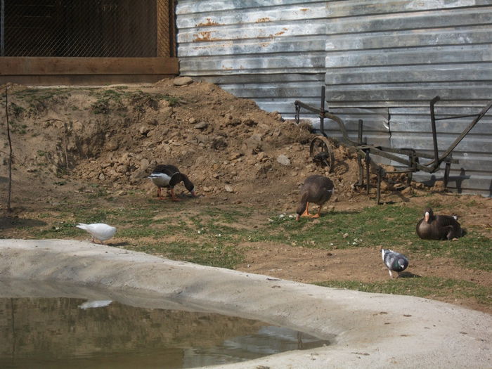 2014 170 - toamna 2014