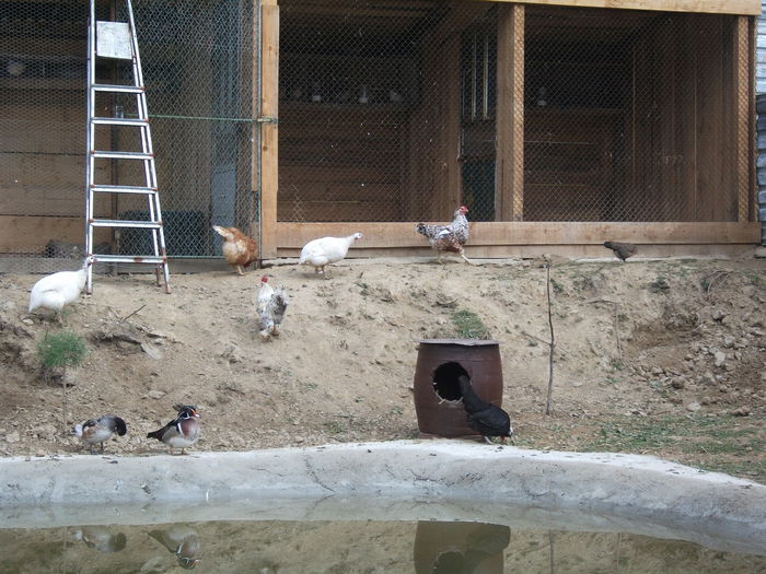 2014 173 - toamna 2014