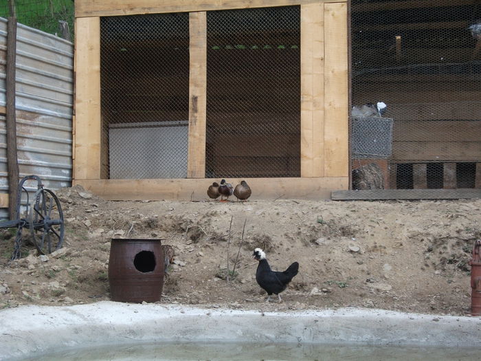 2014 174 - toamna 2014