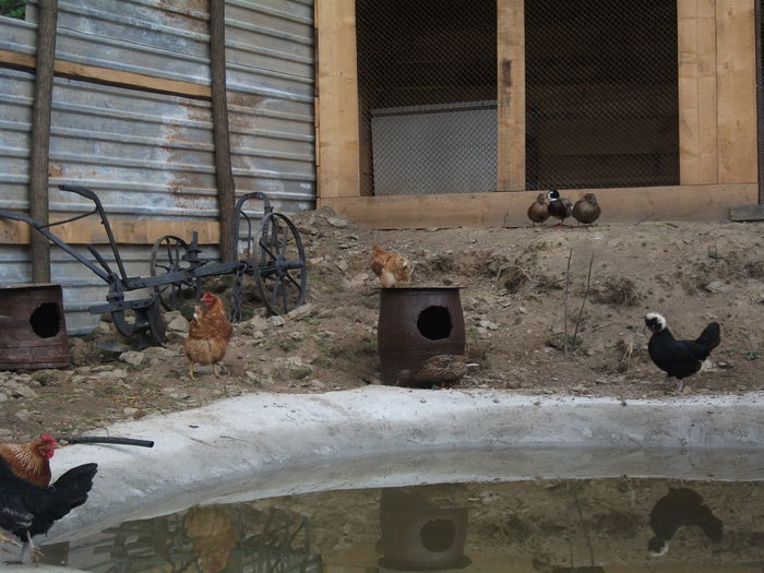 2014 177 - toamna 2014