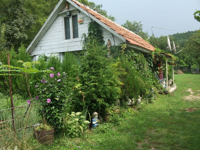 Picture 034 - toamna 2014