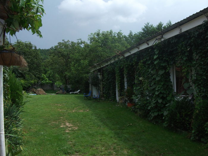 Picture 036 - toamna 2014