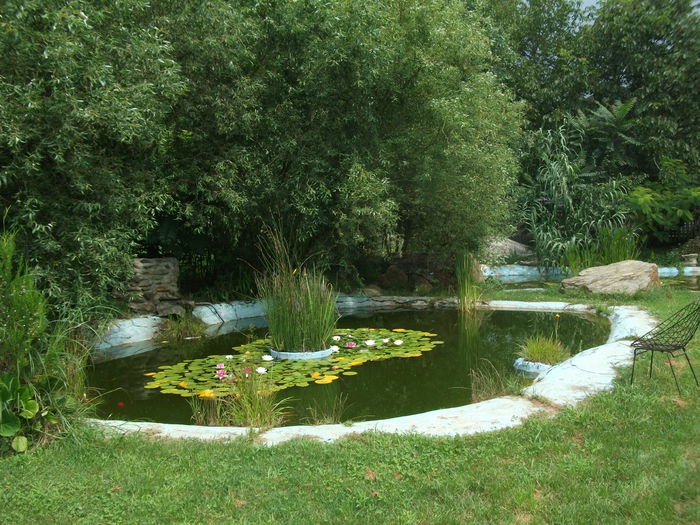 Picture 039 - toamna 2014