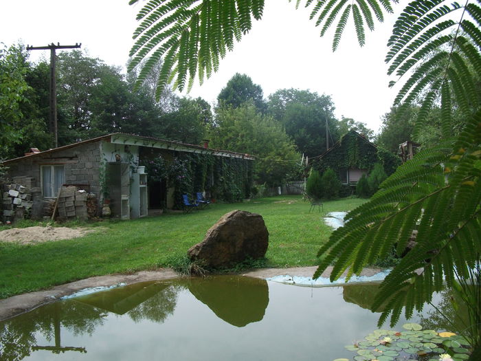 Picture 045 - toamna 2014