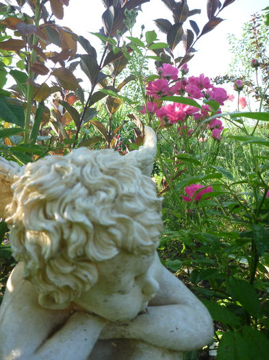 P1270414 - Gradina mea 2014