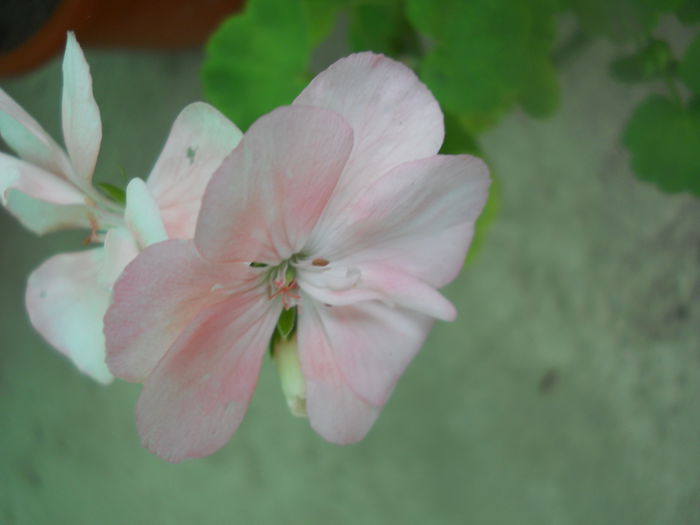 DSCN7141