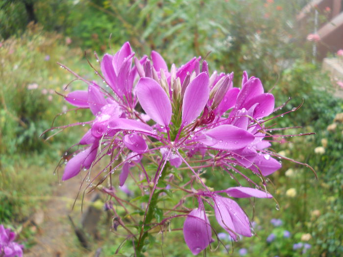 DSCN7148