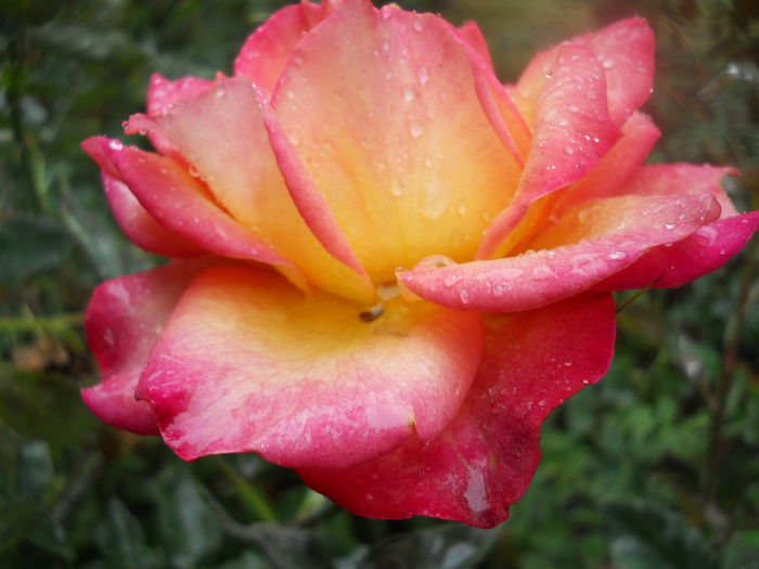 DSCN7165
