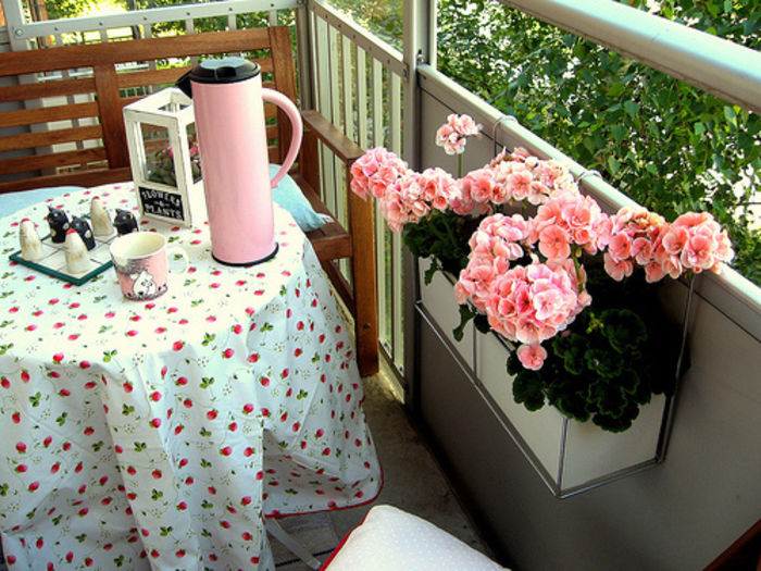 Balcony-garden Balcony-garden