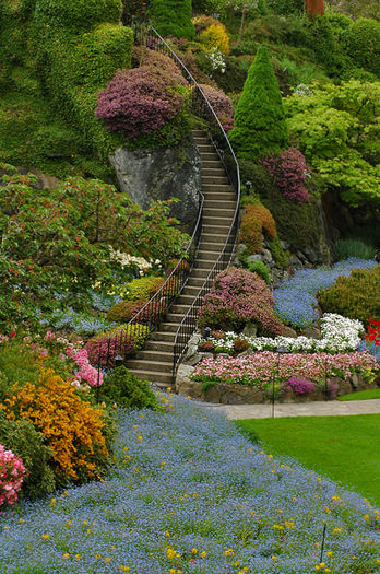 beautiful-gardens-7 beautiful-gardens-7
