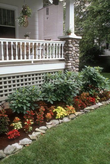 Coleus-Garden-Porch-23262 Coleus-Garden-Porch-23262