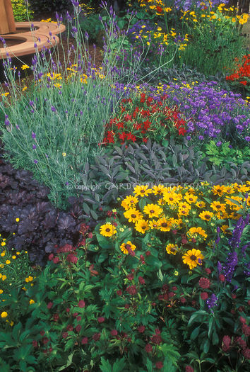 Colorful-Garden-22174 Colorful-Garden-22174