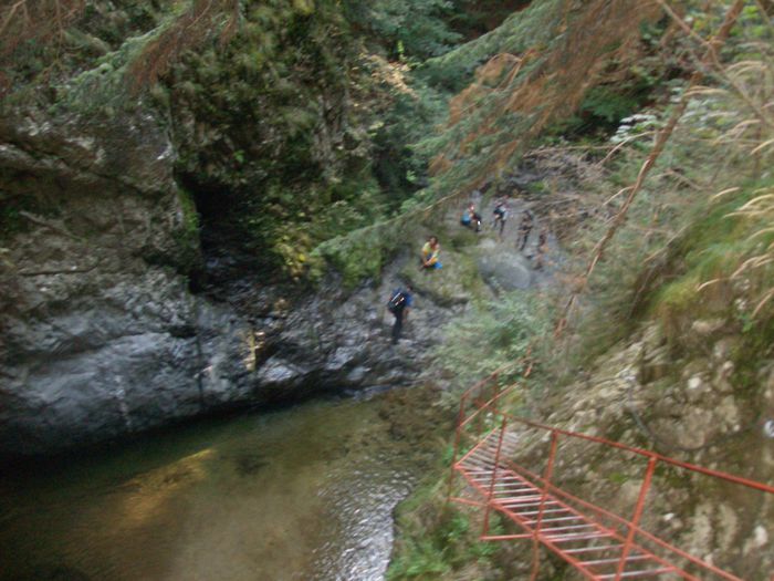 VALEA LUI STAN VIDRARU 14 SEPT 2014 (27) - VIDRARU