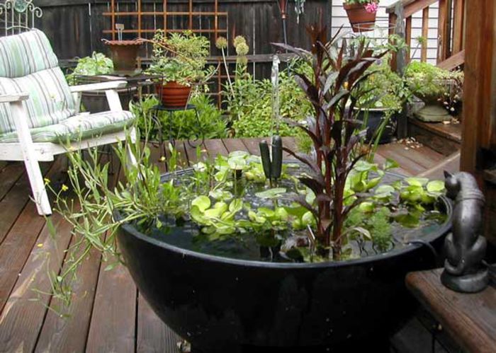 container-water-garden container-water-garden