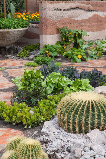 Dry-Garden-Design-4650