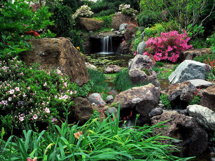 garden-wallpaper-16-photos-3 - idei interesante culese de pe net B