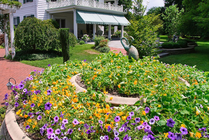 House-Flower-Garden-J012766 House-Flower-Garden-J012766